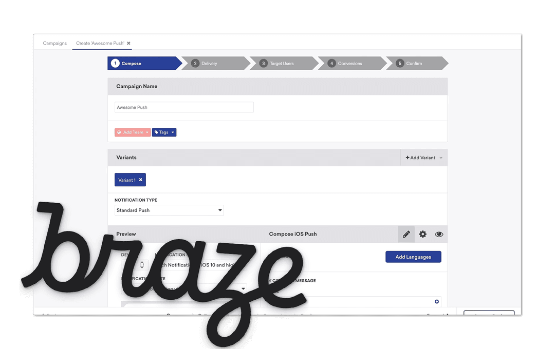 Braze interface screenshot